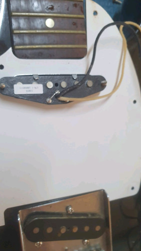 Guitar Telecaster Bacchus