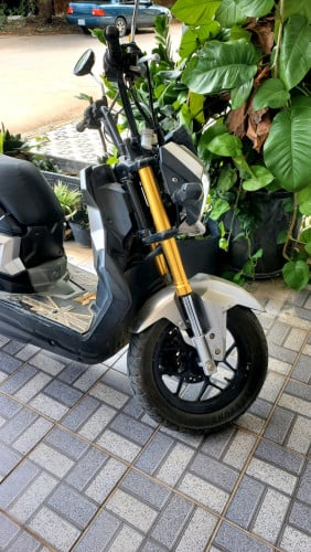 Honda Zoom X