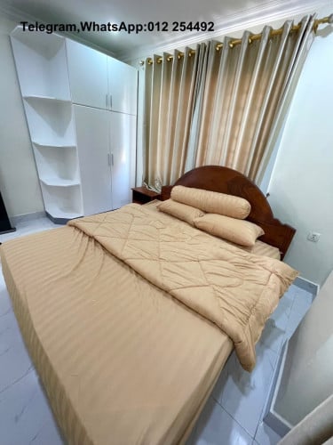 Nice Fully Furnished Elevator Apartment for Rent