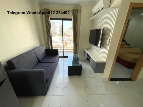 Nice Fully Furnished Elevator Apartment for Rent