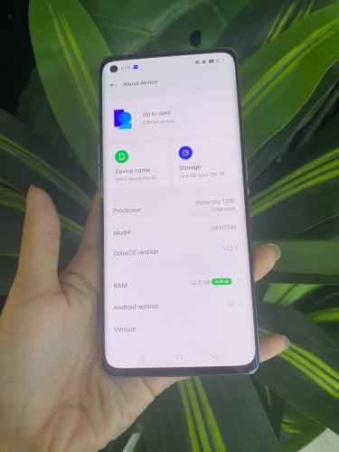 OPPO Reno 6 pro(256g)139$ទេបងៗ🥰អាចឆាតសួរបានបងៗ