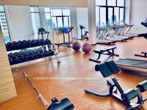 Pool and Gym Fully Furnished Condo for Rent