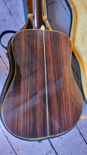 Tokai CatEyes CE-300. Acoustic Japan