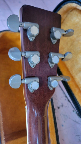 Tokai CatEyes CE-300. Acoustic Japan