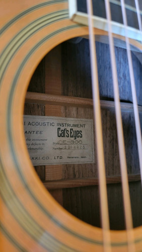 Tokai CatEyes CE-300. Acoustic Japan