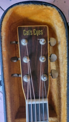 Tokai CatEyes CE-300. Acoustic Japan