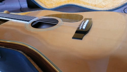 Tokai CatEyes CE-300. Acoustic Japan