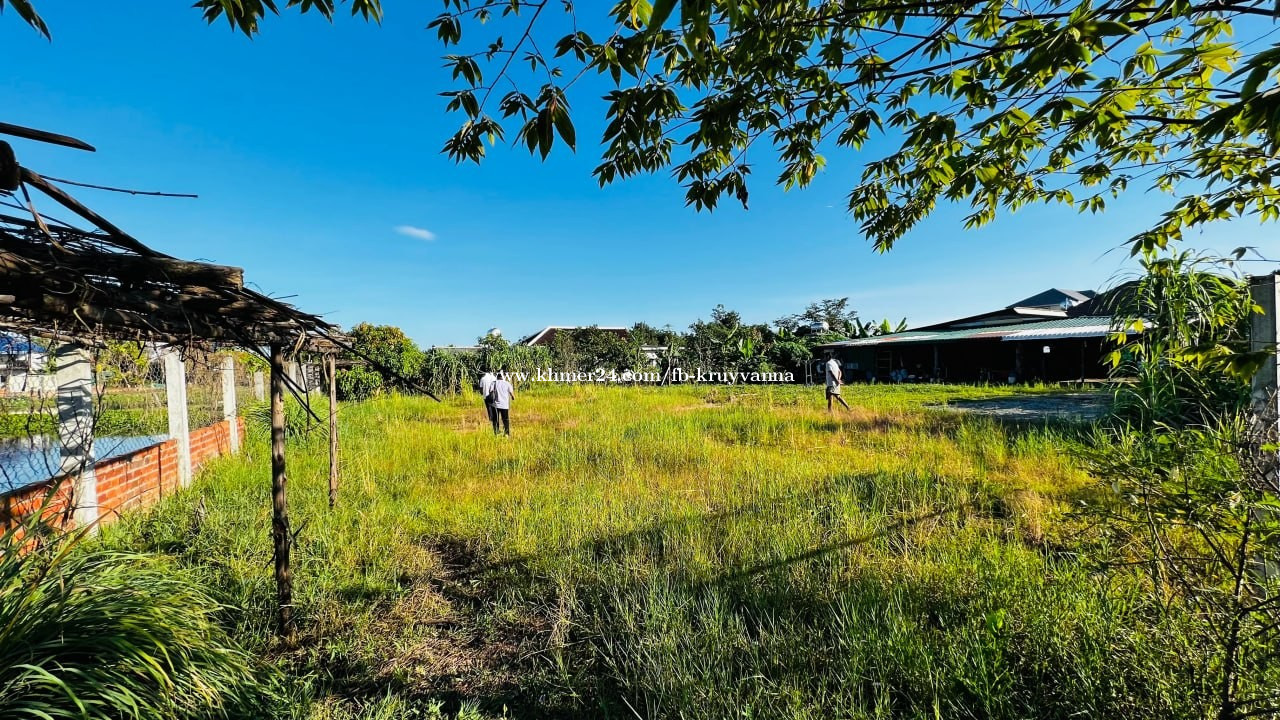 លក់ដីនៅសៀមរាប ជិតផ្សារក្រោម