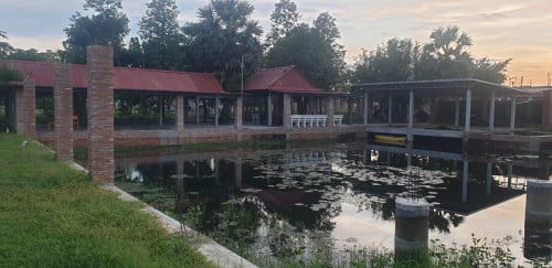 ដី នឹង កញ្ចុះ លក់