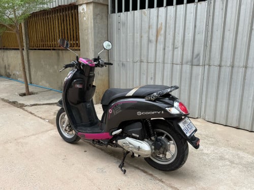 ម្ចាស់​ដើម​