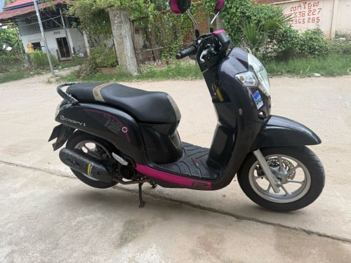 ម្ចាស់​ដើម​