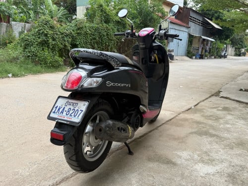 ម្ចាស់​ដើម​