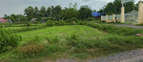 ដីកំពតលក់បន្ទាន់