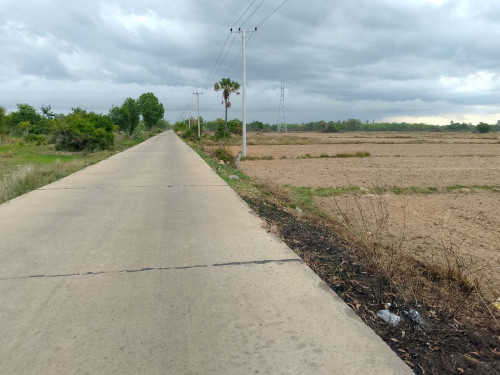 ដីលក់ខ្នាតធំតម្លៃធូរៗក្រោមទីផ្សារ ប្លង់រឹង ជាប់ផ្លូវបេតុង ពីផ្លូវជាតិលេខ៤ប្រហែល3Km អង្គស្រួល កណ្តាល