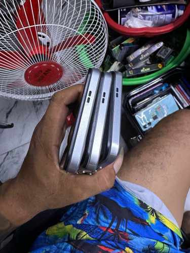 ១ដើម 48$