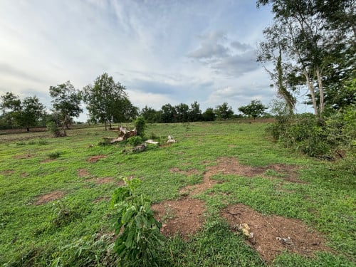 មានដីលក់ទីតាំងបាត់ដំបង ជិតផ្លូវជាតិលេខ5 ចូលតាមក្លោងទ្វាវត្តអន្លង់រុន  -ទំហំដី 15000m2