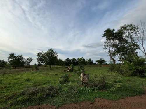 មានដីលក់ទីតាំងបាត់ដំបង ជិតផ្លូវជាតិលេខ5 ចូលតាមក្លោងទ្វាវត្តអន្លង់រុន  -ទំហំដី 15000m2
