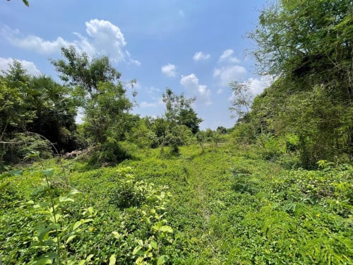๐ฆLand Available For Urgent Sale at a Special Price (Negotiable).