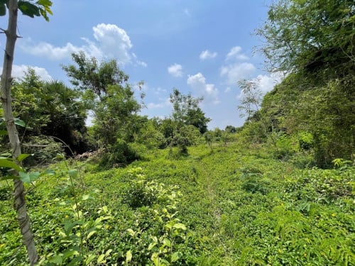 ๐ฆLand Available For Urgent Sale at a Special Price (Negotiable).