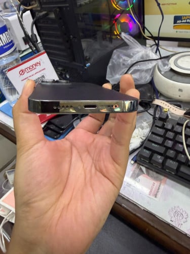 13Pro 256GB ZP