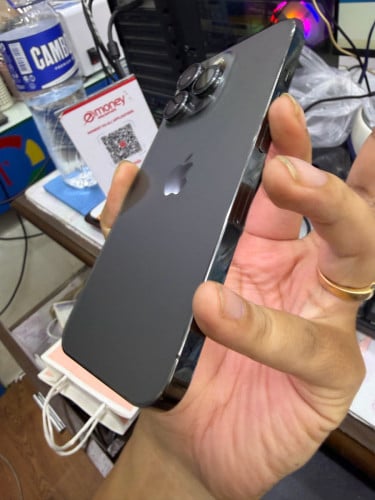 13Pro 256GB ZP