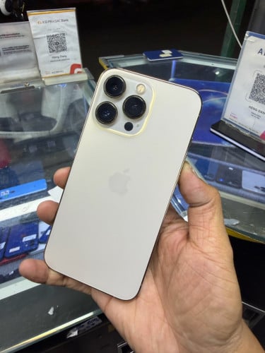 13pro