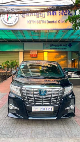 Alphard 017 executive lounge