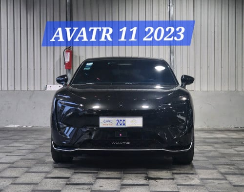 AVATR 11 2023 Options Ultrak
