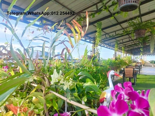 Beautiful Garden Elevator Apartment for Rent