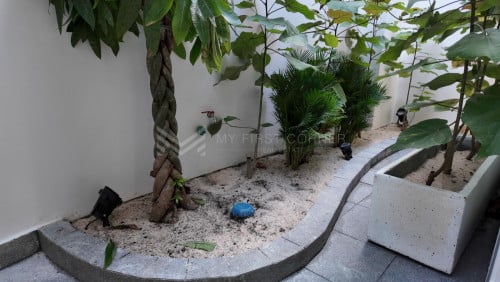 Commercial building house for Rent – at BKK1