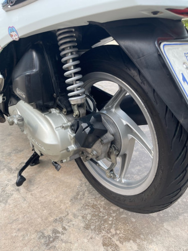 Honda Scoopy 2020 ម៉ូតូក្រុមហ៊ុន មានកាតគ្រីត្រឹមត្រូវ