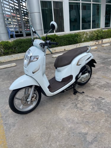 Honda Scoopy 2020 ម៉ូតូក្រុមហ៊ុន មានកាតគ្រីត្រឹមត្រូវ