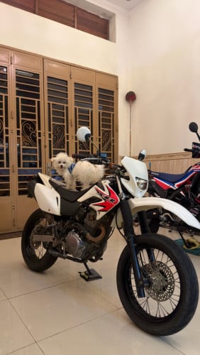 Honda XR 230 08