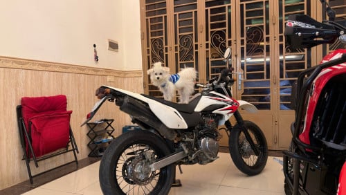 Honda XR 230 08