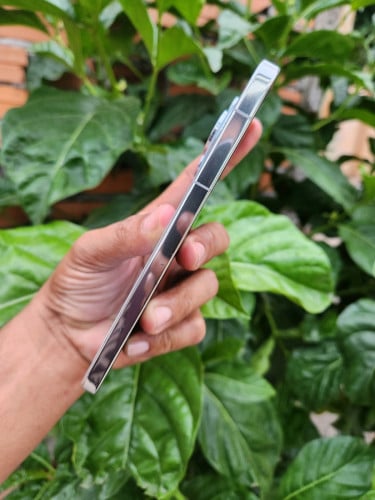 Huawei Pura70 12g/512g_CH(វៃដូរបាន)👉$275