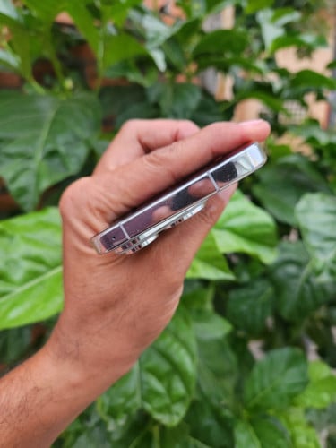 Huawei Pura70 12g/512g_CH(វៃដូរបាន)👉$275