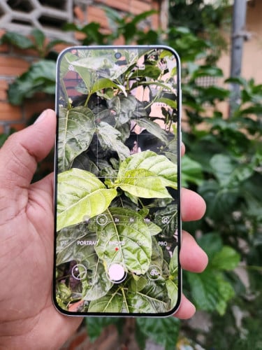 Huawei Pura70 12g/512g_CH(វៃដូរបាន)👉$275