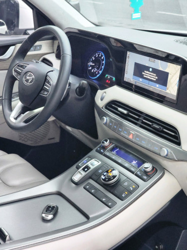 Hyundai Palisade 2020