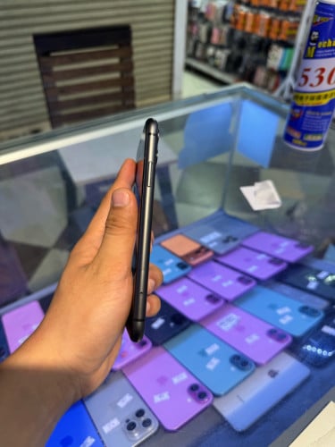 iPhone11 zin all