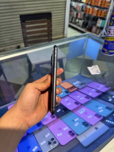 iPhone11 zin all