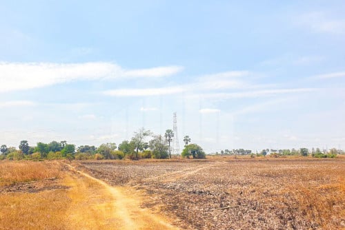 Land for Sale Trapeang Veng Commune, Kandal Stoeung District