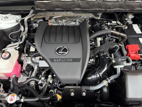 Lexus RX350 F-Sport 2024 Full