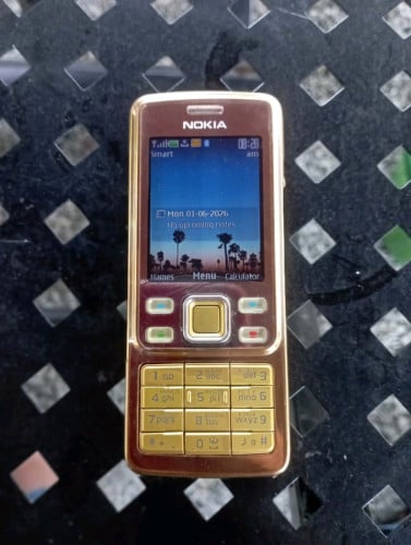 Nokia 6300 Gold