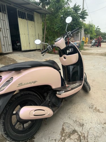 Scoopy for sale