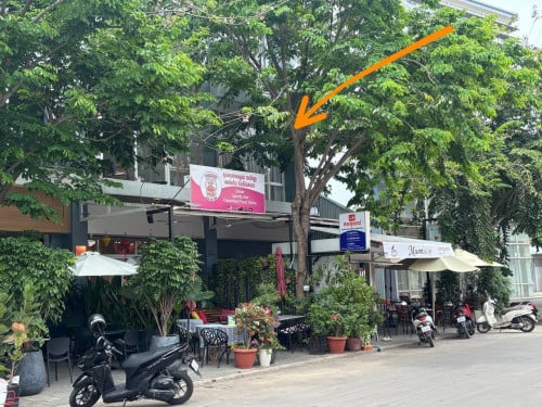 Shophouse for rent