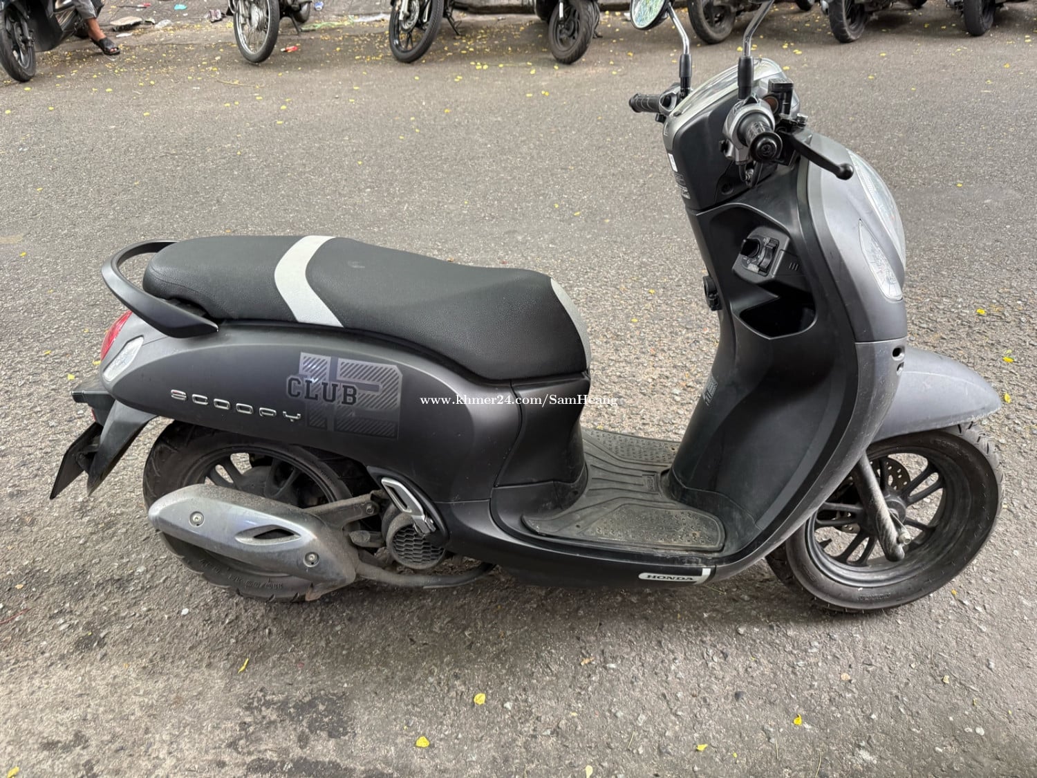 Honda scooyi