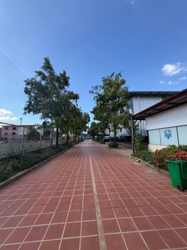ដីតារាងបាល់ ២ ហិកតា