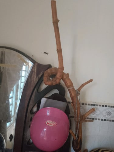 ជុំដើមឬស្សី