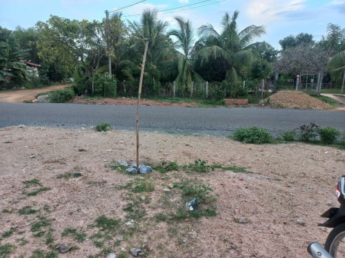 ដីលក់ជាប់ផ្លូវកៅស៊ូ