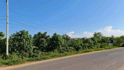 ដីចំការ ស្រុកបាណន់